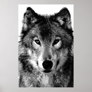 Gray Wolf Poster Print