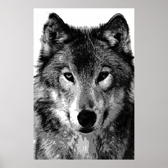 Gray Wolf Poster Print (Front)