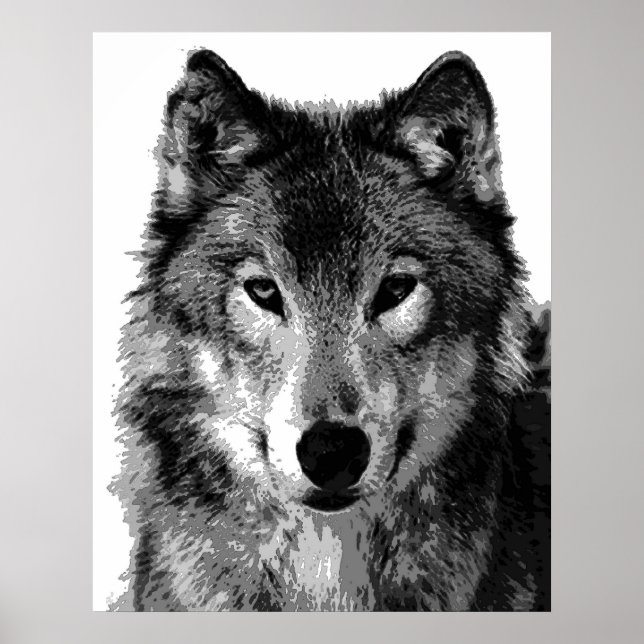 Gray Wolf Poster Print (Front)