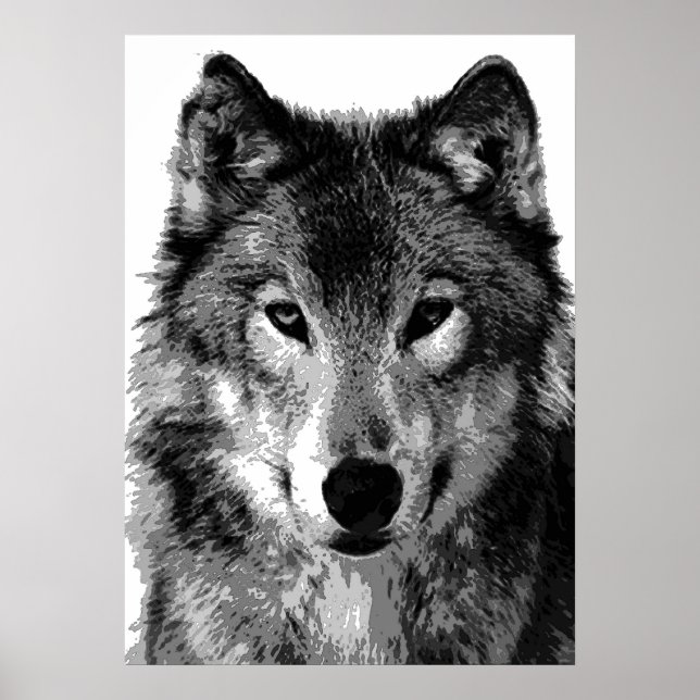 Gray Wolf Poster Print (Front)