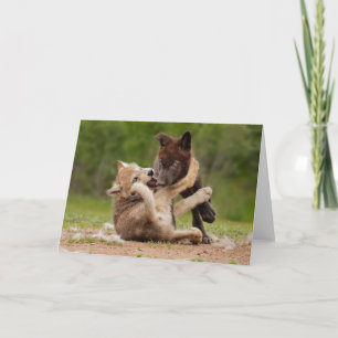 Gray Wolf Pups Wrestling Card