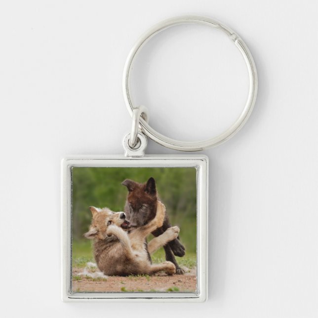 Gray Wolf Pups Wrestling Keychain (Front)