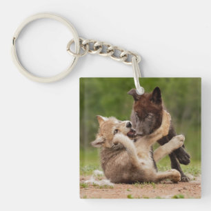 Gray Wolf Pups Wrestling Keychain