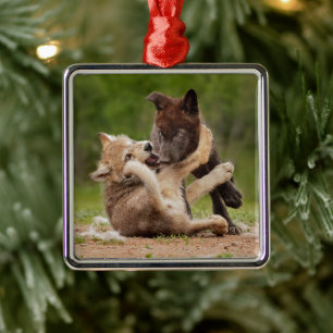 Gray Wolf Pups Wrestling Metal Ornament