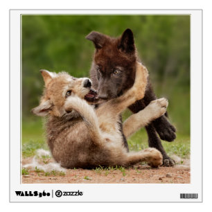 Gray Wolf Pups Wrestling Wall Decal