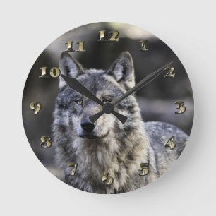 Gray Wolf Round Clock