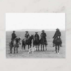 Gray Wolf Roundup, 1887 Postcard