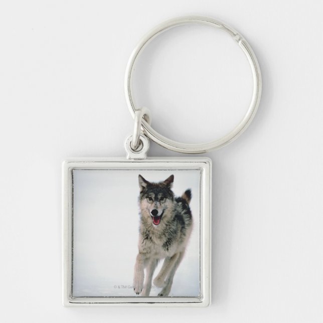 Gray wolf running keychain (Front)