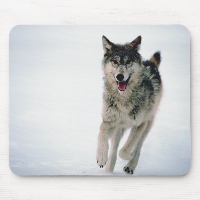 Gray wolf running mouse pad (Front)