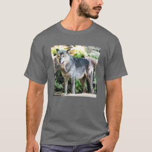 Gray Wolf Standing Alone T-Shirt