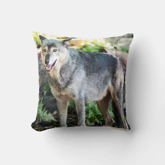 Gray Wolf Standing Alone Throw Pillow (Front)