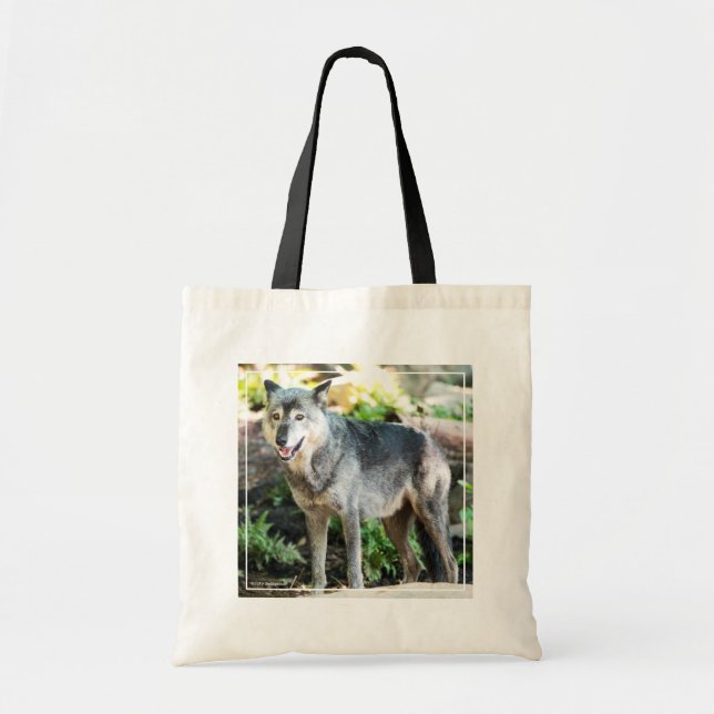 Gray Wolf Standing Alone Tote Bag (Front)