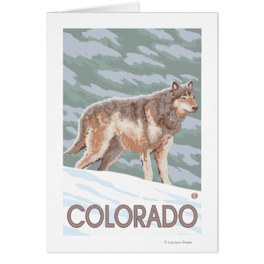 Gray Wolf StandingColorado Cards (Front)