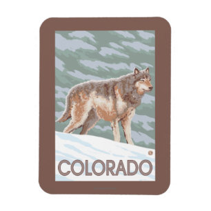 Gray Wolf StandingColorado Magnet