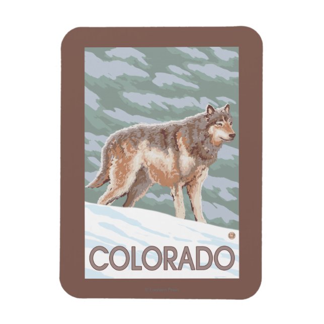 Gray Wolf StandingColorado Magnet (Vertical)
