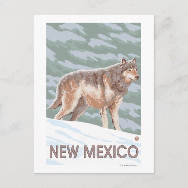 Gray Wolf StandingNew Mexico Postcard (Front)