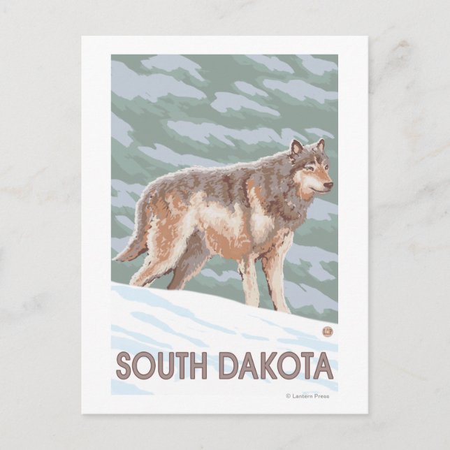 Gray Wolf StandingSouth Dakota Postcard (Front)