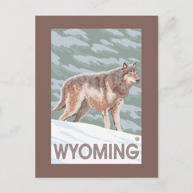 Gray Wolf StandingWyoming Postcard (Front)