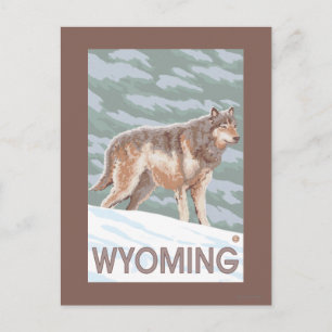 Gray Wolf StandingWyoming Postcard