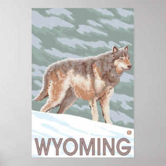 Gray Wolf StandingWyoming Poster