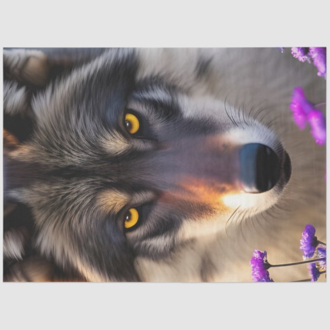 Gray Wolf Stare and Purple flowers Tissue Paper (Front)