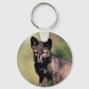 Gray Wolf-summer-(black-phase) cub Keychain