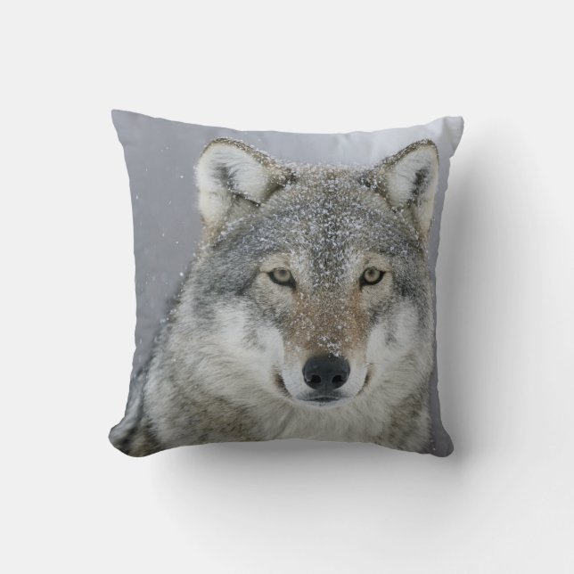 Gray Wolf Throw Pillow (Front)