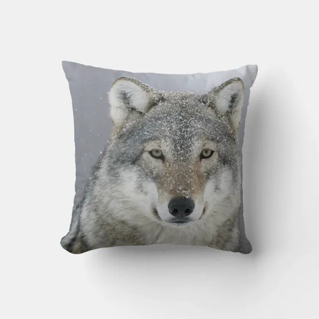 Gray Wolf Throw Pillow Zazzle