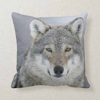 Gray Wolf Throw Pillow by LATENA at Zazzle
