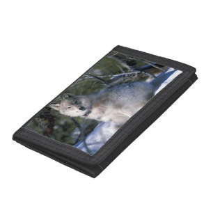 Gray Wolf - Timber Wolf - Covered in Snow Tri-fold Wallet