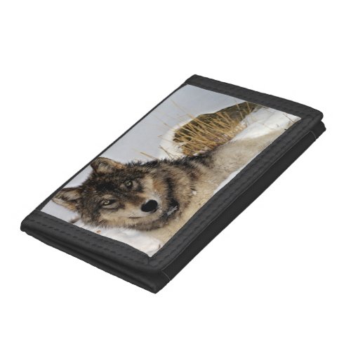 Gray Wolf _ Timber Wolf _ In the Snow Trifold Wallet