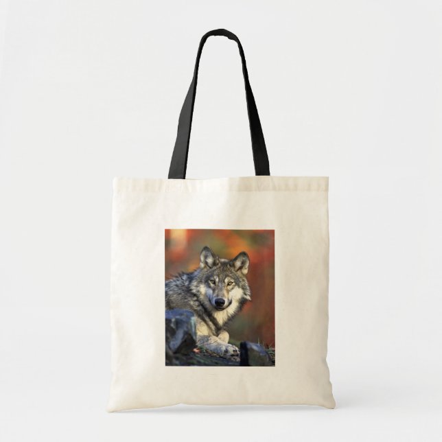 Gray wolf tote bag (Front)
