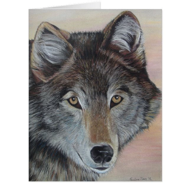 gray wolf wildlife against sunset sky cards (Front)