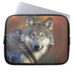 Gray Wolf Wildlife Lovers Laptop Sleeve