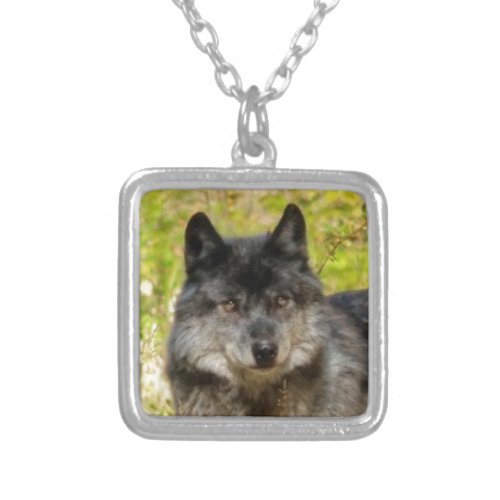 Gray Wolf Wildlife Portrait Silver Plated Necklace