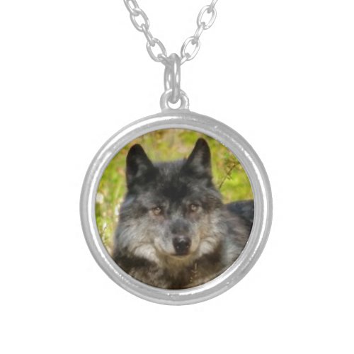 Gray Wolf Wildlife Portrait Silver Plated Necklace