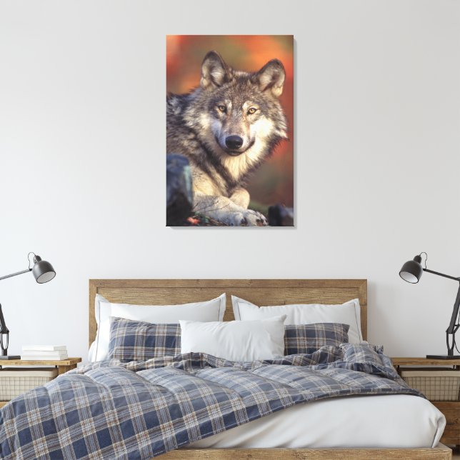 Gray wolf  Wrapped Canvas Print (Insitu(Bedroom))