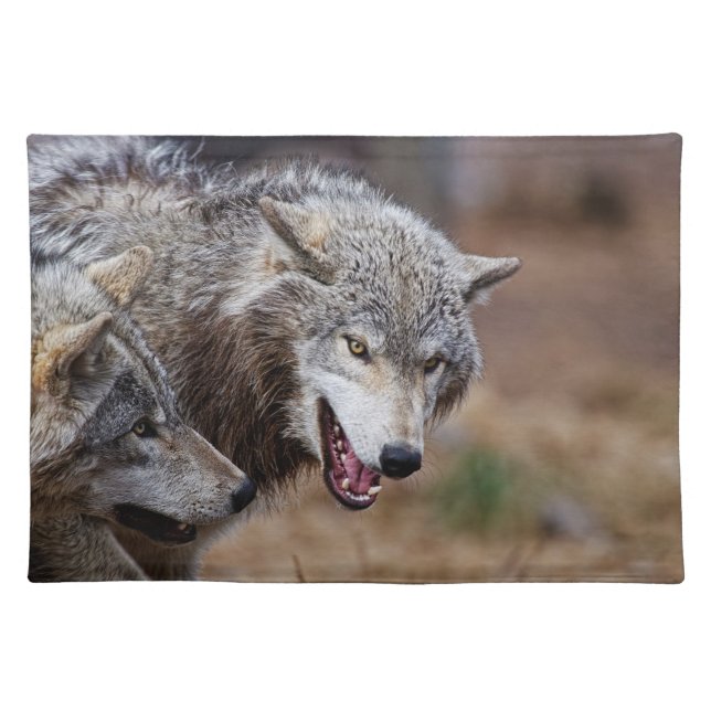 Gray Wolves Cloth Placemat (Front)