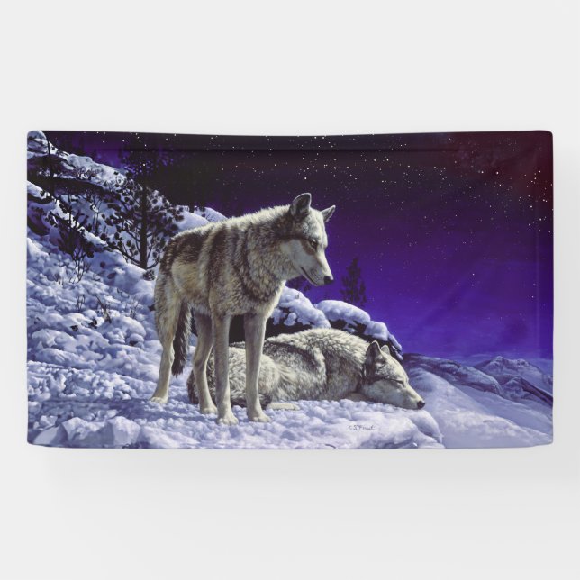 Gray Wolves in Winter Snow at Night Banner (Horizontal)