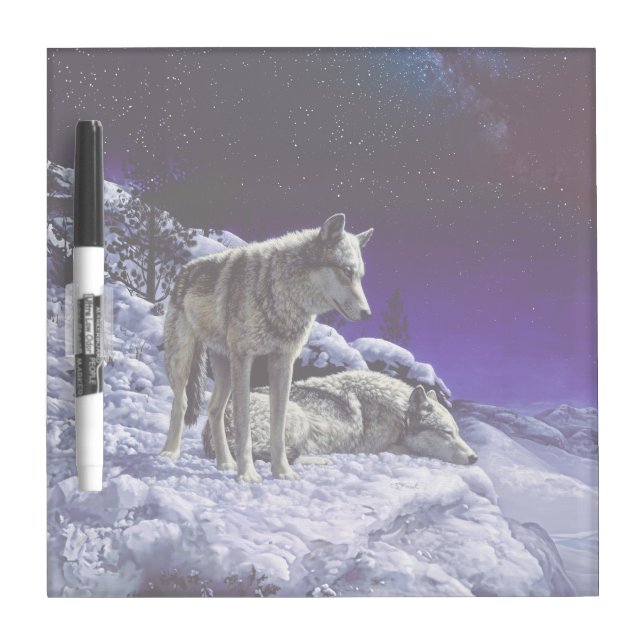 Gray Wolves in Winter Snow at Night Dry Erase Board (Front)