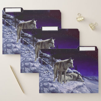 Gray Wolves in Winter Snow at Night File Folder