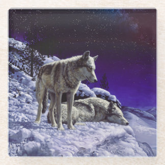 Gray Wolves in Winter Snow at Night Glass Coaster