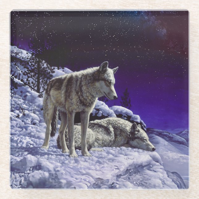 Gray Wolves in Winter Snow at Night Glass Coaster (Front)