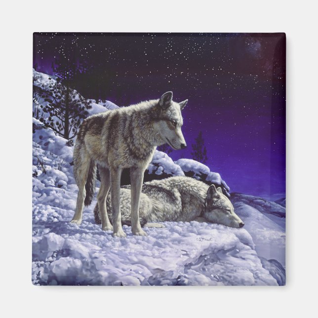 Gray Wolves in Winter Snow at Night Magnet (Front)
