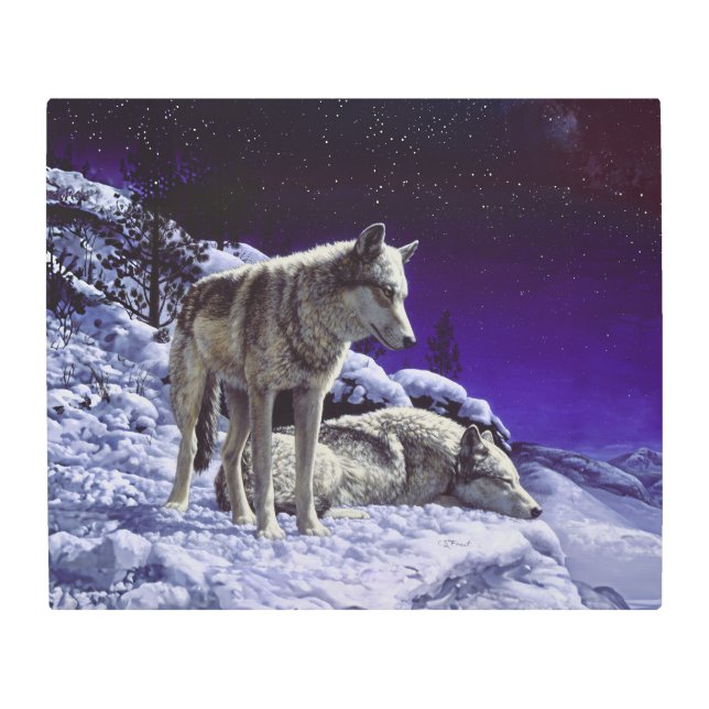 Gray Wolves in Winter Snow at Night Metal Print (Front)