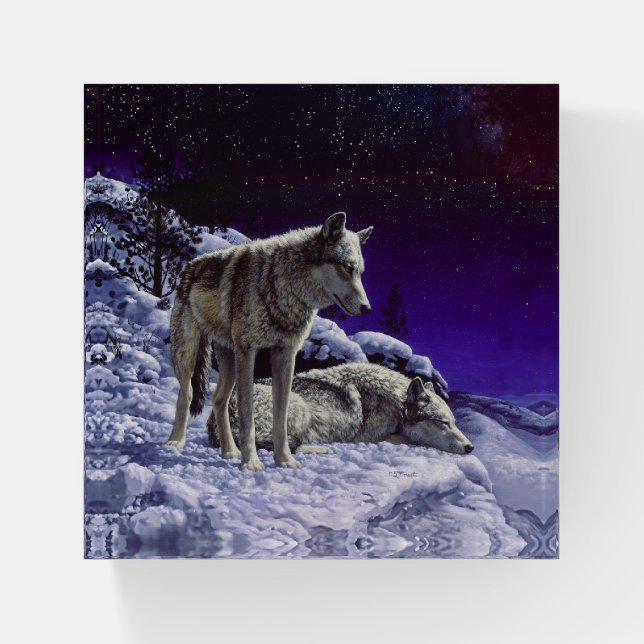Gray Wolves in Winter Snow at Night Paperweight (Front)