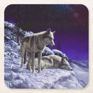 Gray Wolves in Winter Snow at Night Square Paper Coaster