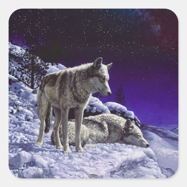 Gray Wolves in Winter Snow at Night Square Sticker (Front)