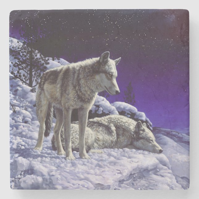 Gray Wolves in Winter Snow at Night Stone Coaster (Front)
