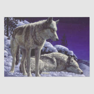 Gray Wolves in Winter Snow at Night Tissue Paper